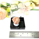 Desert Rose Mineral Specimen