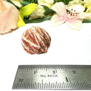 Desert Rose Mineral Specimen