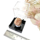 Desert Rose Mineral Specimen