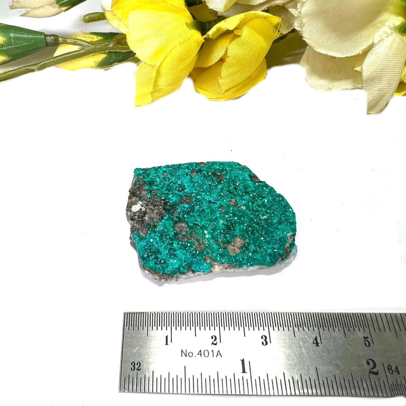 Dioptase Mineral Specimen (Resolve past Karma)