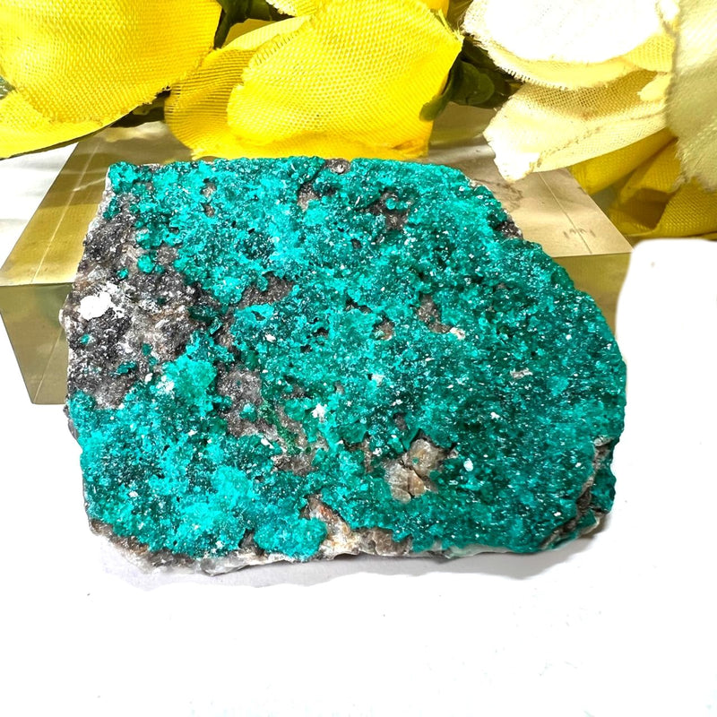 Dioptase Mineral Specimen (Resolve past Karma)