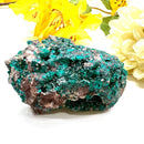 Dioptase Mineral Specimen (Resolve past Karma)