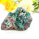 Dioptase Mineral Specimen (Resolve past Karma)