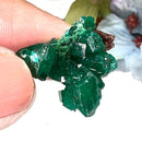 Dioptase Mineral Clusters (Katango, Congo) (Emotional healing)