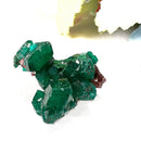 Dioptase Mineral Clusters (Katango, Congo) (Emotional healing)
