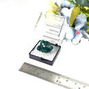 Dioptase Mineral Clusters (Katango, Congo) (Emotional healing)