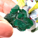 Dioptase Mineral Clusters (Katango, Congo) (Emotional healing)