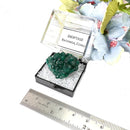 Dioptase Mineral Clusters (Katango, Congo) (Emotional healing)