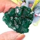 Dioptase Mineral Clusters (Katango, Congo) (Emotional healing)
