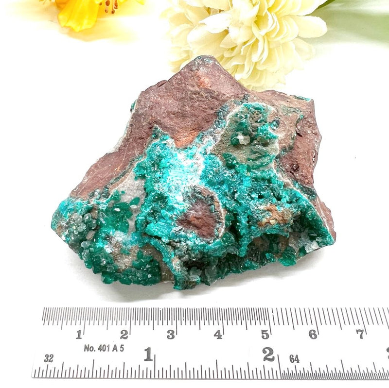 Dioptase Mineral Specimen (Resolve past Karma)
