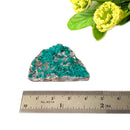 Dioptase Mineral Specimen (Resolve past Karma)