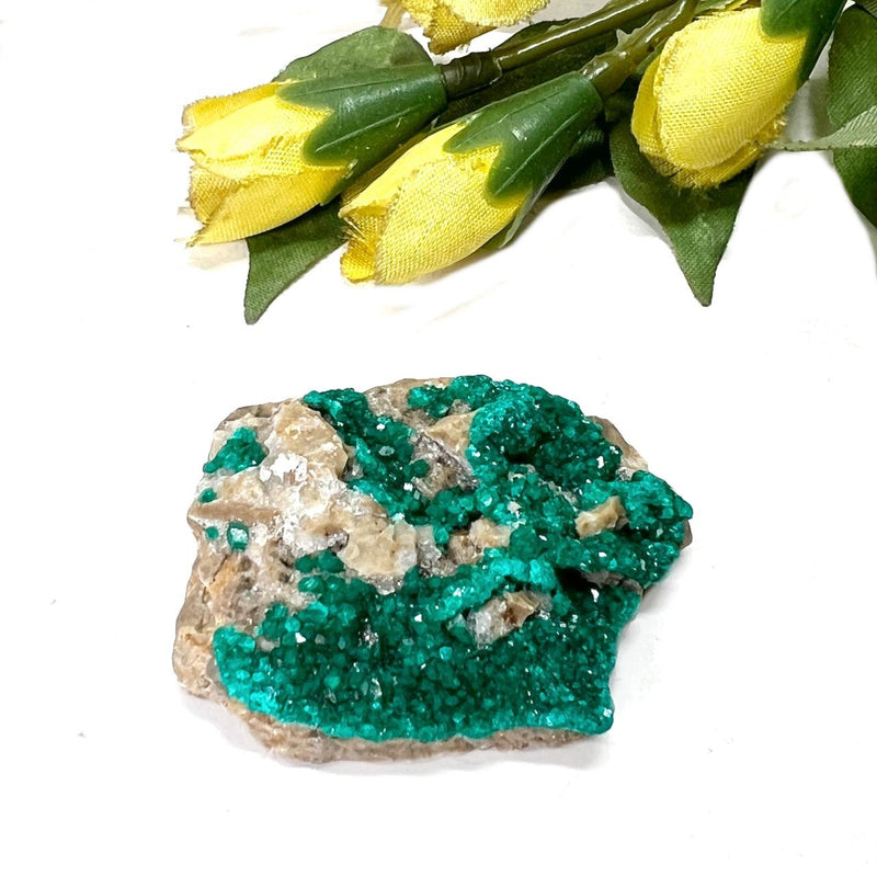 Dioptase Mineral Specimen (Resolve past Karma)