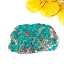 Dioptase Mineral Specimen (Resolve past Karma)