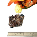 Dark Brown Vanadinite Specimen from Morocco (Motivation)