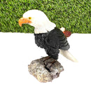 Crystal Eagles from Peru