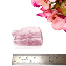 Pink Kunzite Rough Elite (Unconditional Love and Joy)