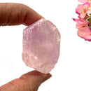 Pink Kunzite Rough Elite (Unconditional Love and Joy)