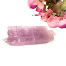 Pink Kunzite Rough Elite (Unconditional Love and Joy)