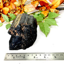 Elite Rough Black Tourmaline Medium Sized (Grounding & Protection)