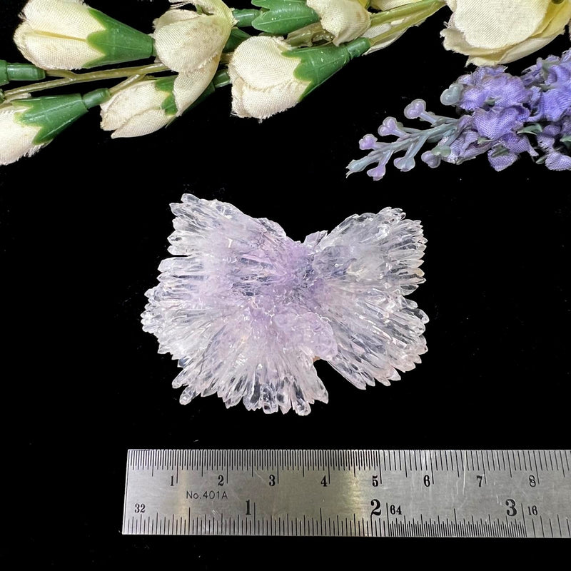 Amethyst Elestial Flowers from Brazil (Intuition and Meditation)