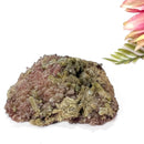 Quartz and Epidote on Matrix (Remove the Victim feeling)