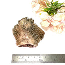 Quartz and Epidote on Matrix (Remove the Victim feeling)