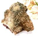 Quartz and Epidote on Matrix (Remove the Victim feeling)