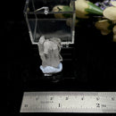 Faden Quartz (Connection)