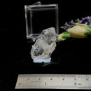 Faden Quartz (Connection)