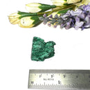 Fibrous Malachite Mineral Specimen