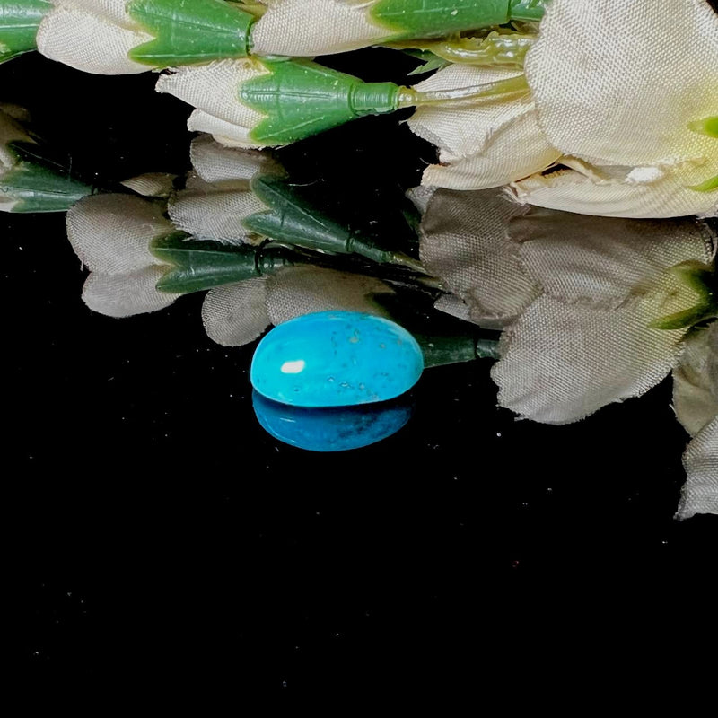 Natural Iranian Turquoise Gem (Firoza)