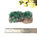 Green Fluorite Clusters from England