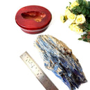 Raw Blue Kyanite on a Stand (Aura Cleanser & High Vibration)