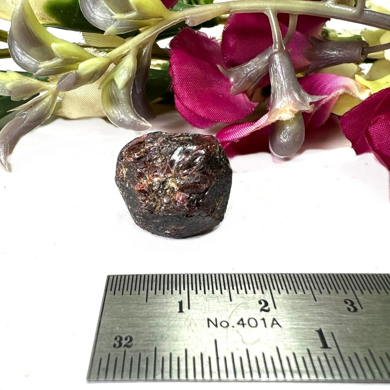 Garnet Mineral from Xin Jiang, China (Strength and Support)