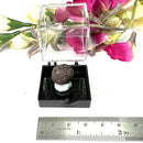 Garnet Mineral from Xin Jiang, China (Strength and Support)