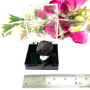 Garnet Mineral from Xin Jiang, China (Strength and Support)