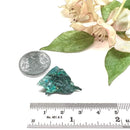 Gold on Malachite Mineral Specimen (Material Abundance)