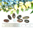 Golden Sheen Sapphire Cabochons