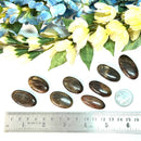Golden Sheen Sapphire Cabochons