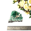 Green Fluorite Clusters from England