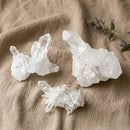 Himalayan Quartz Cluster Natural Crystal for Energy Amplification, Healing and Meditation by Talk to Crystals