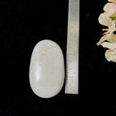 Howlite Palmstone (Peace and Patience)