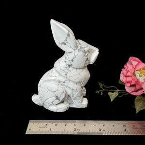 Howlite Rabbit (Adaptability)