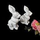 Howlite Rabbit (Adaptability)