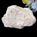 Howlite Rough (Letting go of anger)