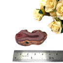 Imperial Jasper Slice