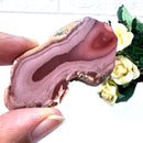Imperial Jasper Slice
