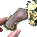 Imperial Jasper Slice