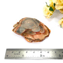 Imperial Jasper Slice