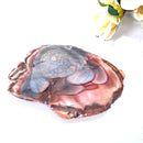 Imperial Jasper Slice